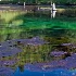 © Denise Bierley PhotoID # 8863296: Thermal Pond
