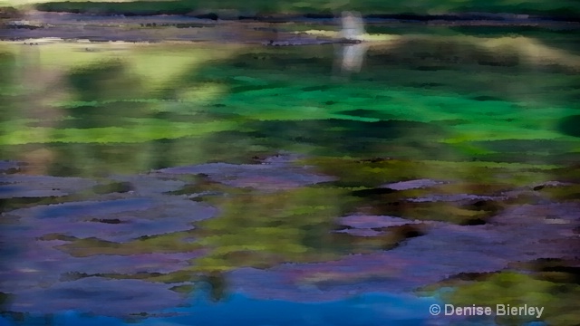 Impressions of a thermal pond - ID: 8863299 © Denise Bierley