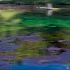 © Denise Bierley PhotoID # 8863299: Impressions of a thermal pond