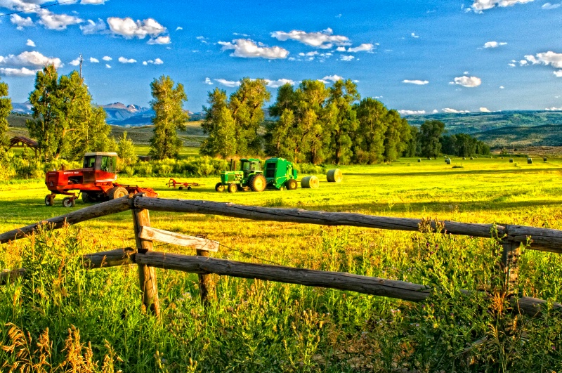 Harvest in Colorado
