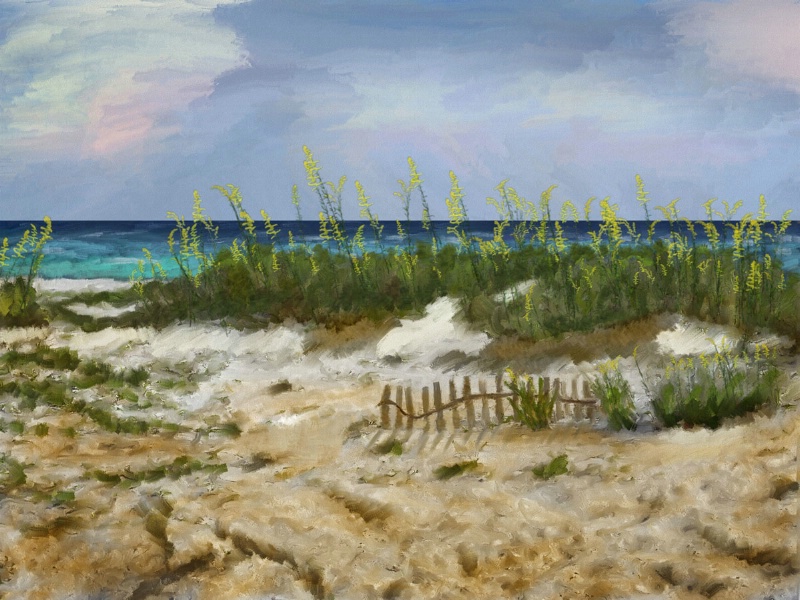 The Beach at Watercolor, Fla.