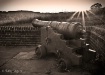 Old Canon at Vall...