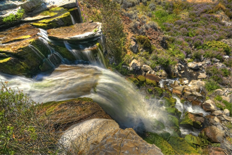 img20