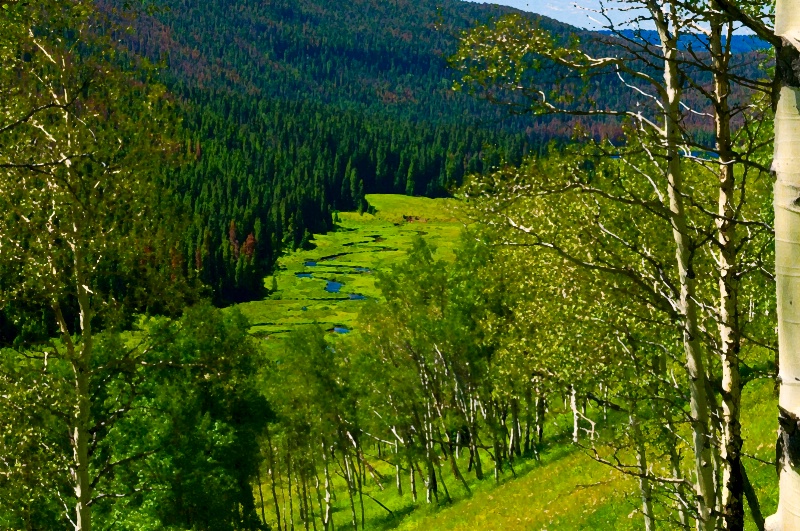 Piney River Colorado