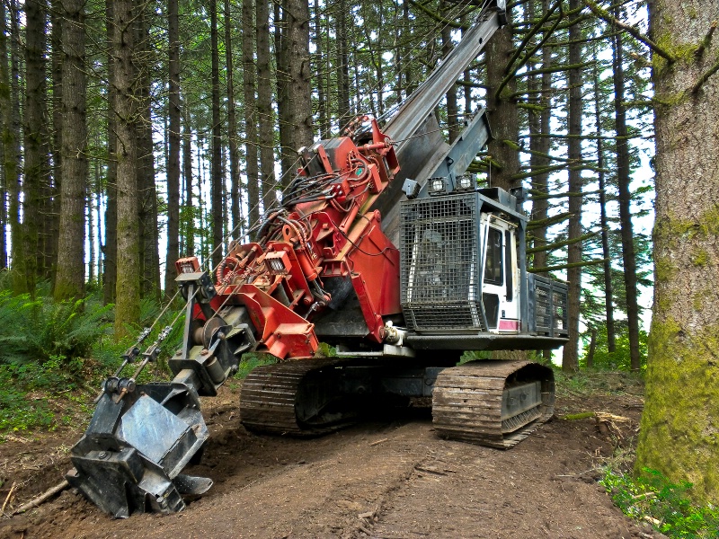 Log Processor, Logging-Oregon - ID: 8885236 © Denny E. Barnes