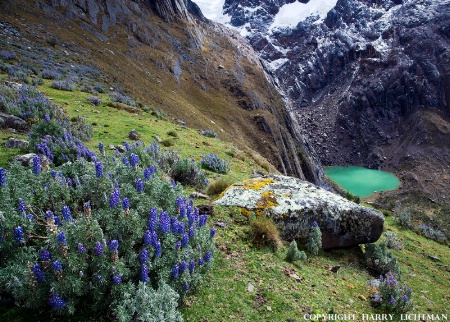 Alto de Pucajirca Pass - Peru