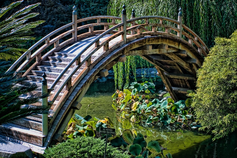 Moon Bridge