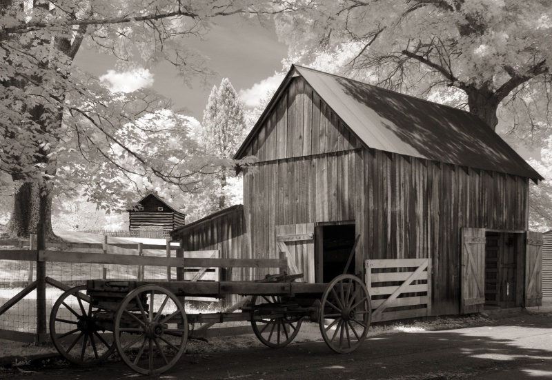 Days Gone By - Jackson's Mill State Park