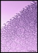 bubbles