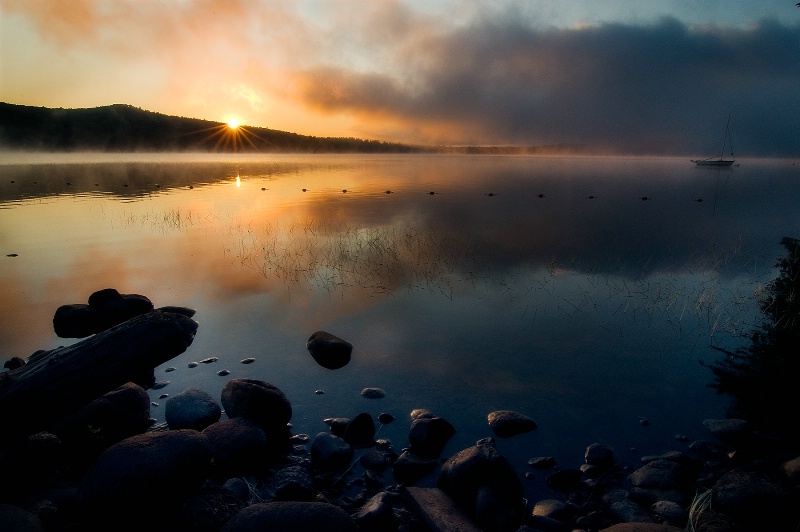 Sun Rays in the MIst