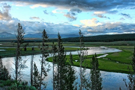 The river in yellowstone