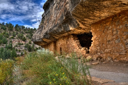 Canyon Dwellers 