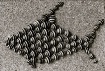 School of Shells