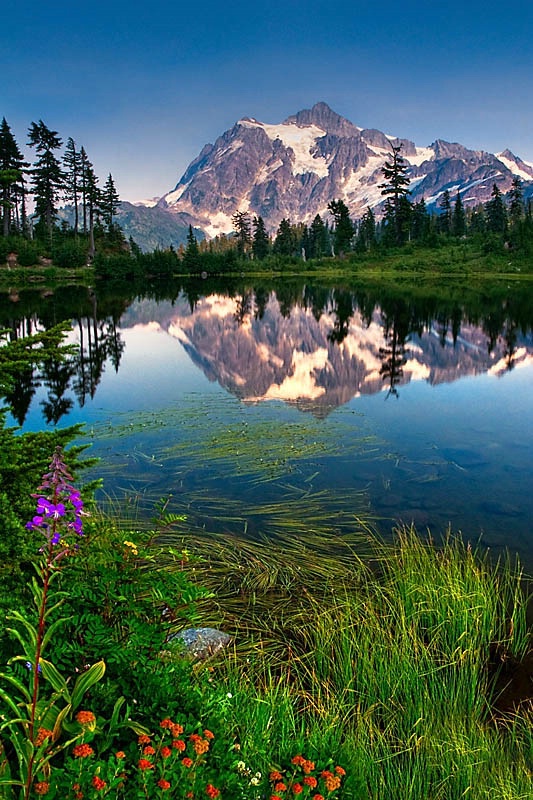 Mt. Baker Recreational Area