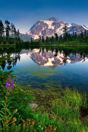 Mt. Baker Recreational Area