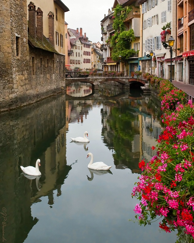 Annecy Canal