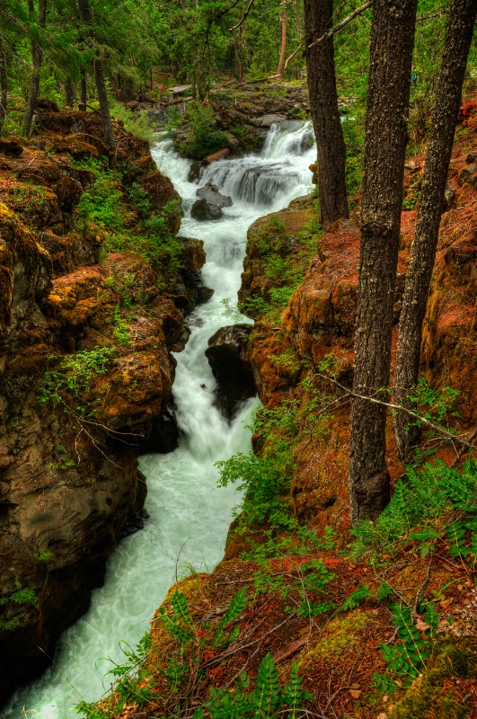 Rogue River Gorge