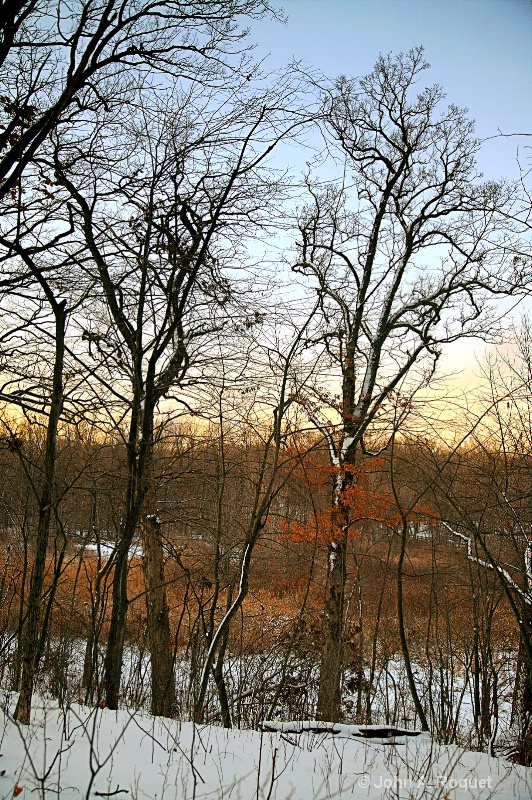 Winter view of Duneland Marsh - ID: 8915039 © John A. Roquet
