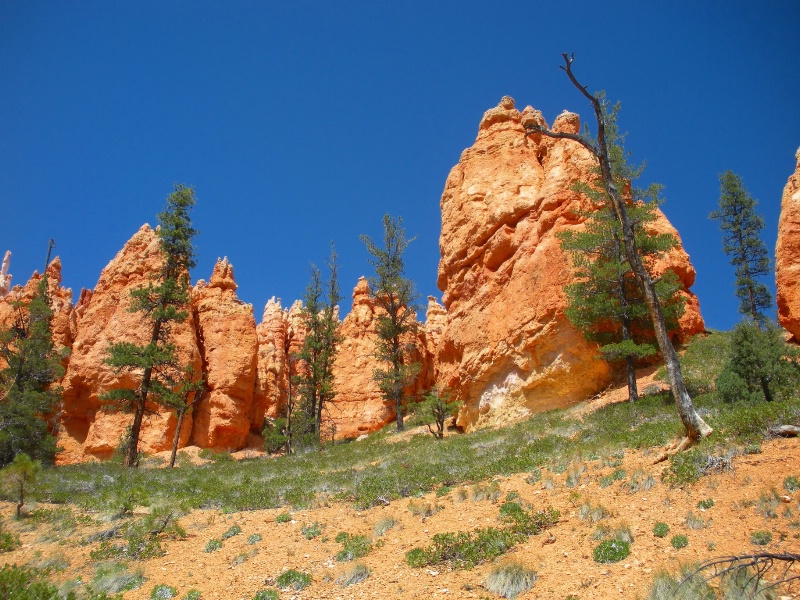 Scenic Bryce Canyon
