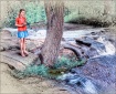 "Lily Pad Tre...