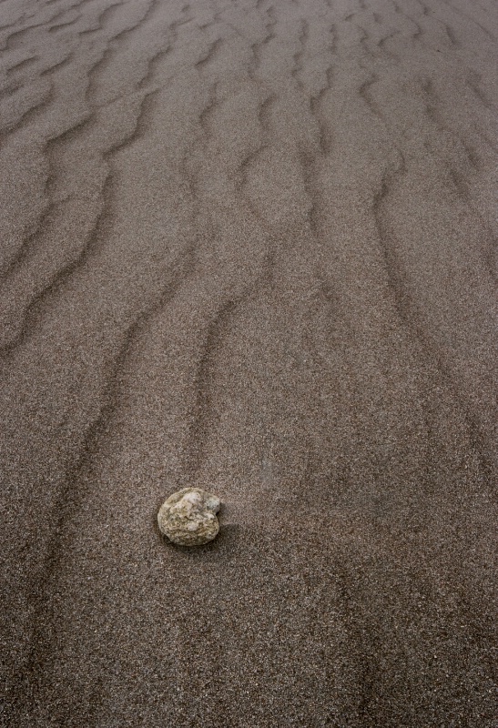 From Rock to Sand - ID: 8920849 © Patricia A. Casey