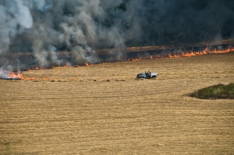 The Fire Starter, Field Burning-Oregon - ID: 8921863 © Denny E. Barnes