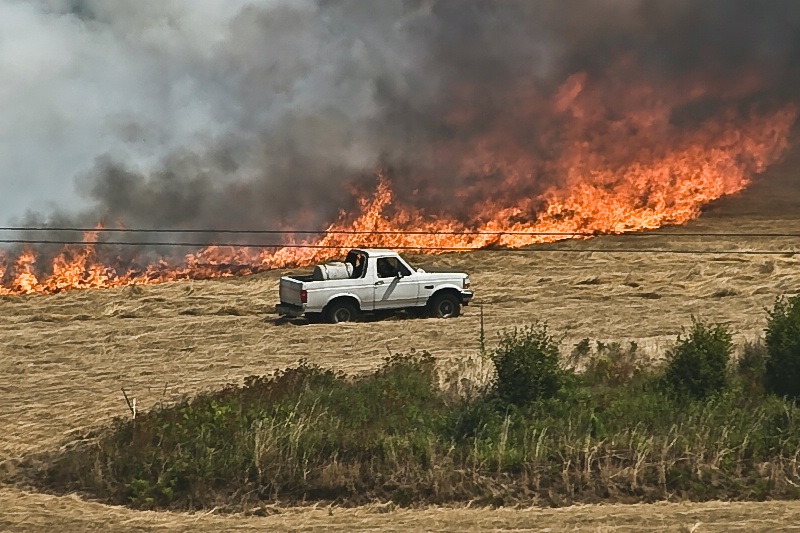 The Watchers, Field Burning Oregon - ID: 8922034 © Denny E. Barnes