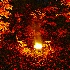 2The Fire Light - ID: 8933470 © Eric Highfield