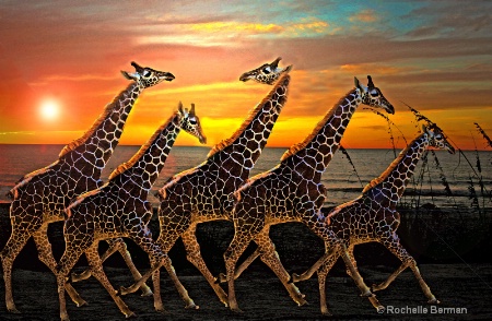 giraffe run copy 2