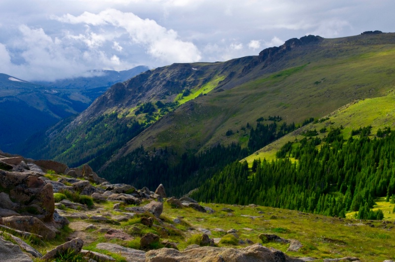 Rocky MT National Park