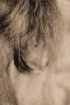 The Dreamtime