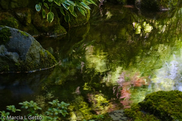 Oregon, Portland, Japanese Gardens 0860