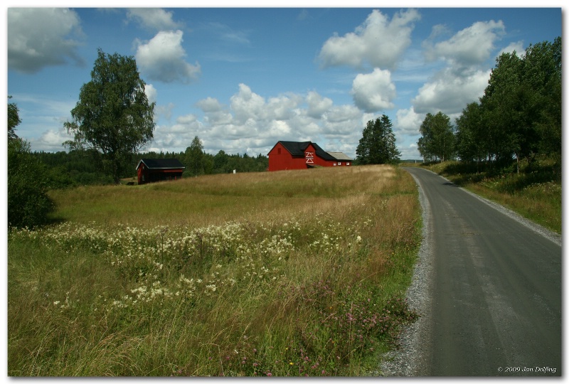 Swedish farmland