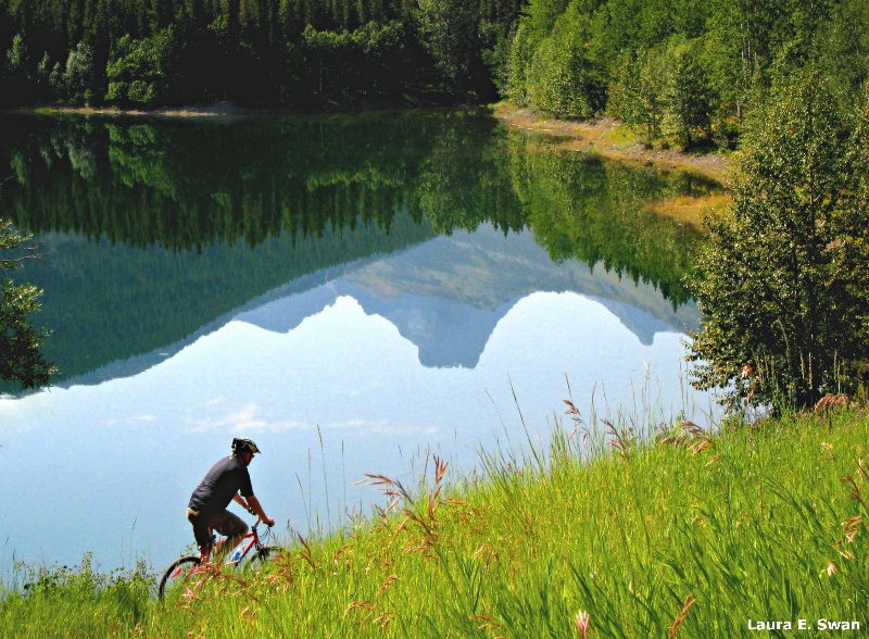 Peaceful Pedaling 