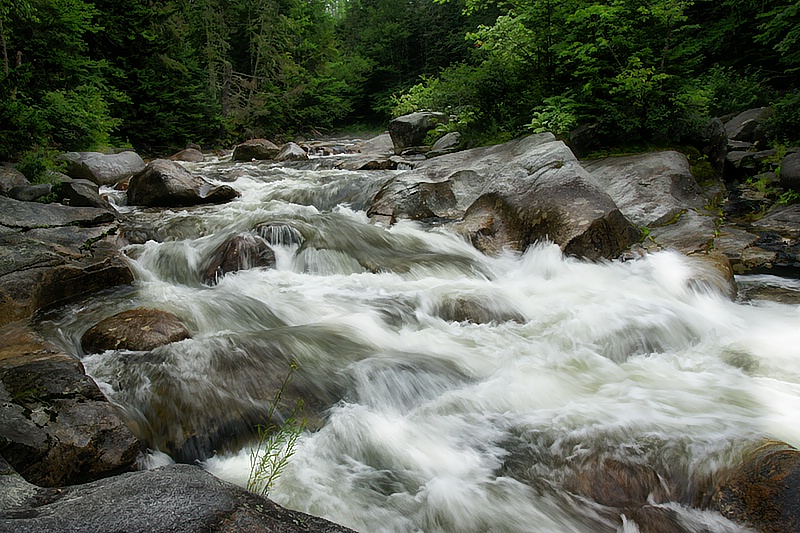 Rolling Down the River - ID: 8970577 © Laurie Daily