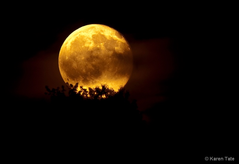 Harvest Moon, Lake Jean, Pa. - ID: 8975935 © Karen Rosenblum
