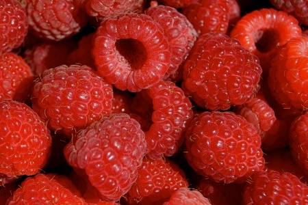 Raspberry, Jazzberry, Razzamatazz Berry