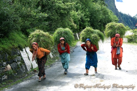 The women of Garhwal Himalaya