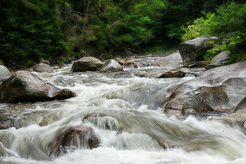 River Rush - ID: 8984872 © Laurie Daily