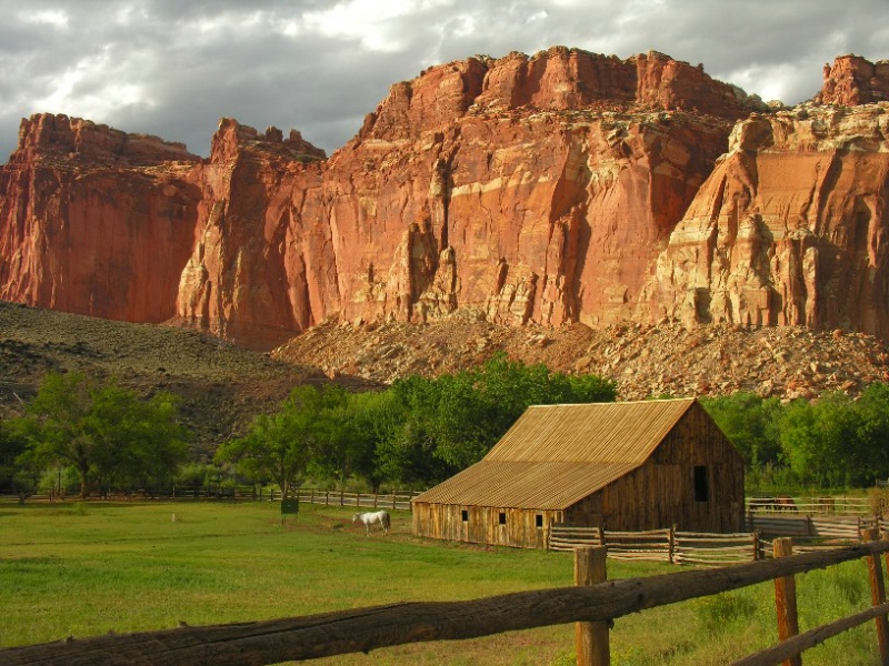Barn in Capitol Reef - ID: 8988345 © Jannalee Muise