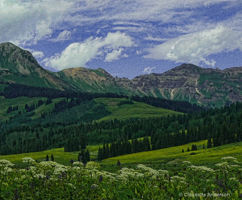 Crested Butte in July