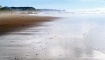 Dreamy Beach Scen...