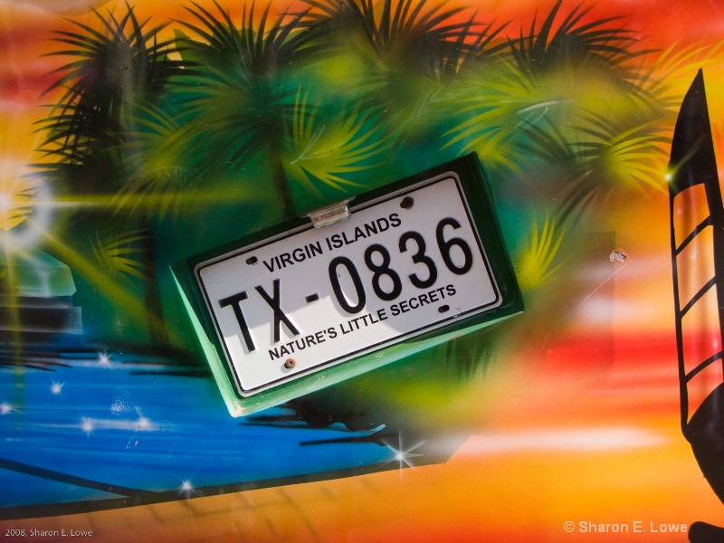 BVI License Plate on the back of a colorful taxi