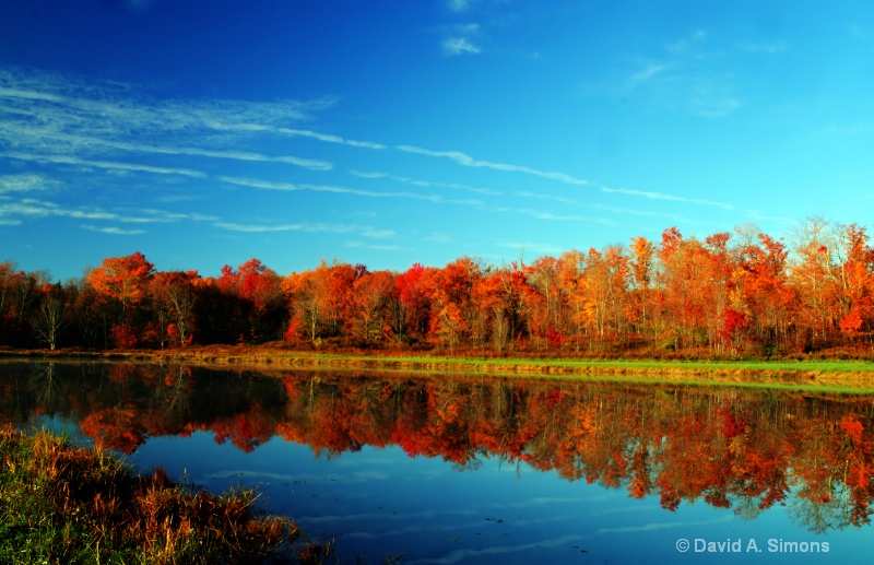 Waiting For Fall To Arrive