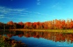 Waiting For Fall ...