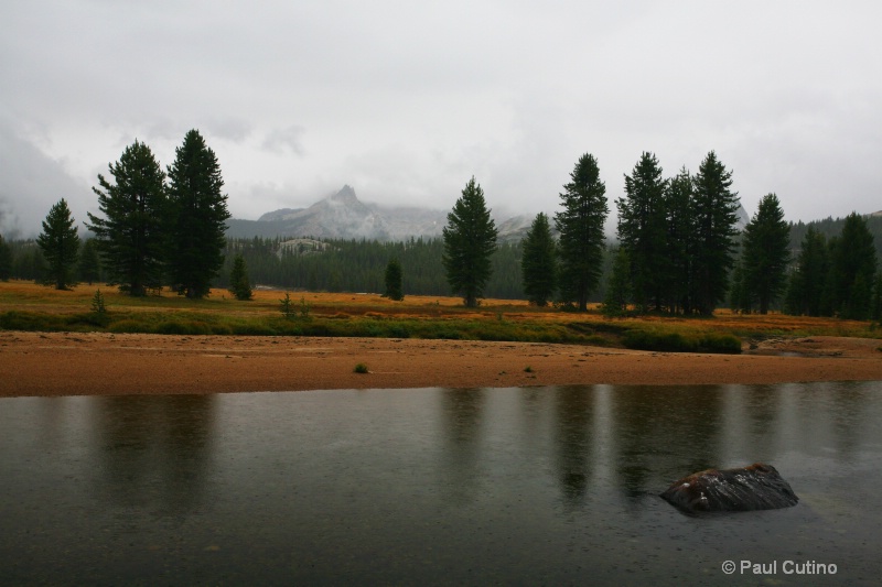 Tuolumne Meadows with Cathedral Peak in the backgr - ID: 8999015 © Paul Cutino
