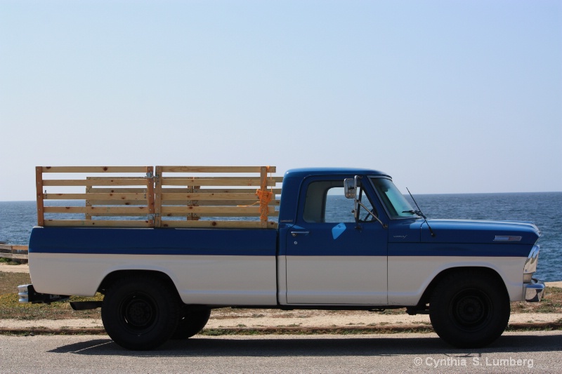 1967 Ford F -250 - ID: 9000051 © Cynthia S. Lumberg