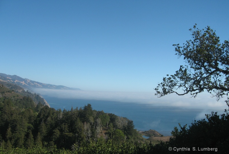 Up in the Clouds in Big Sur - ID: 9000269 © Cynthia S. Lumberg