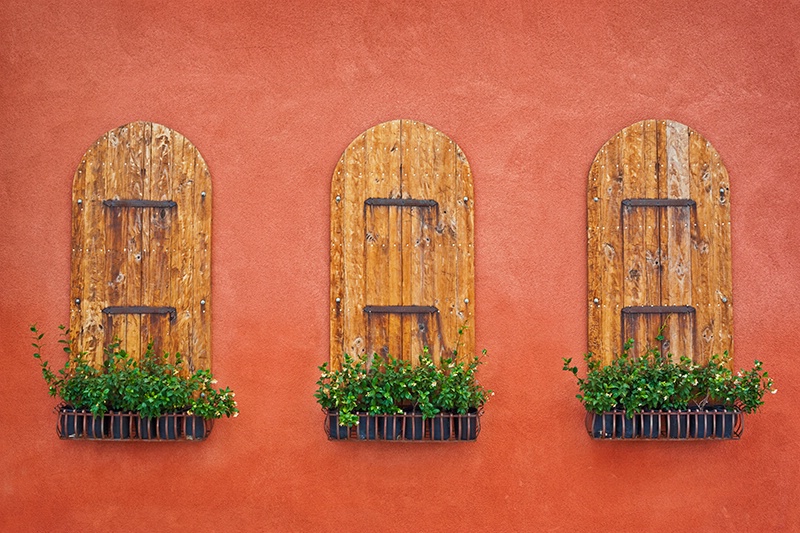 Honeysuckle Flower Boxes