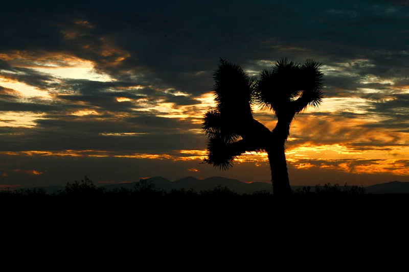 Mojave Desert Sunset - EP